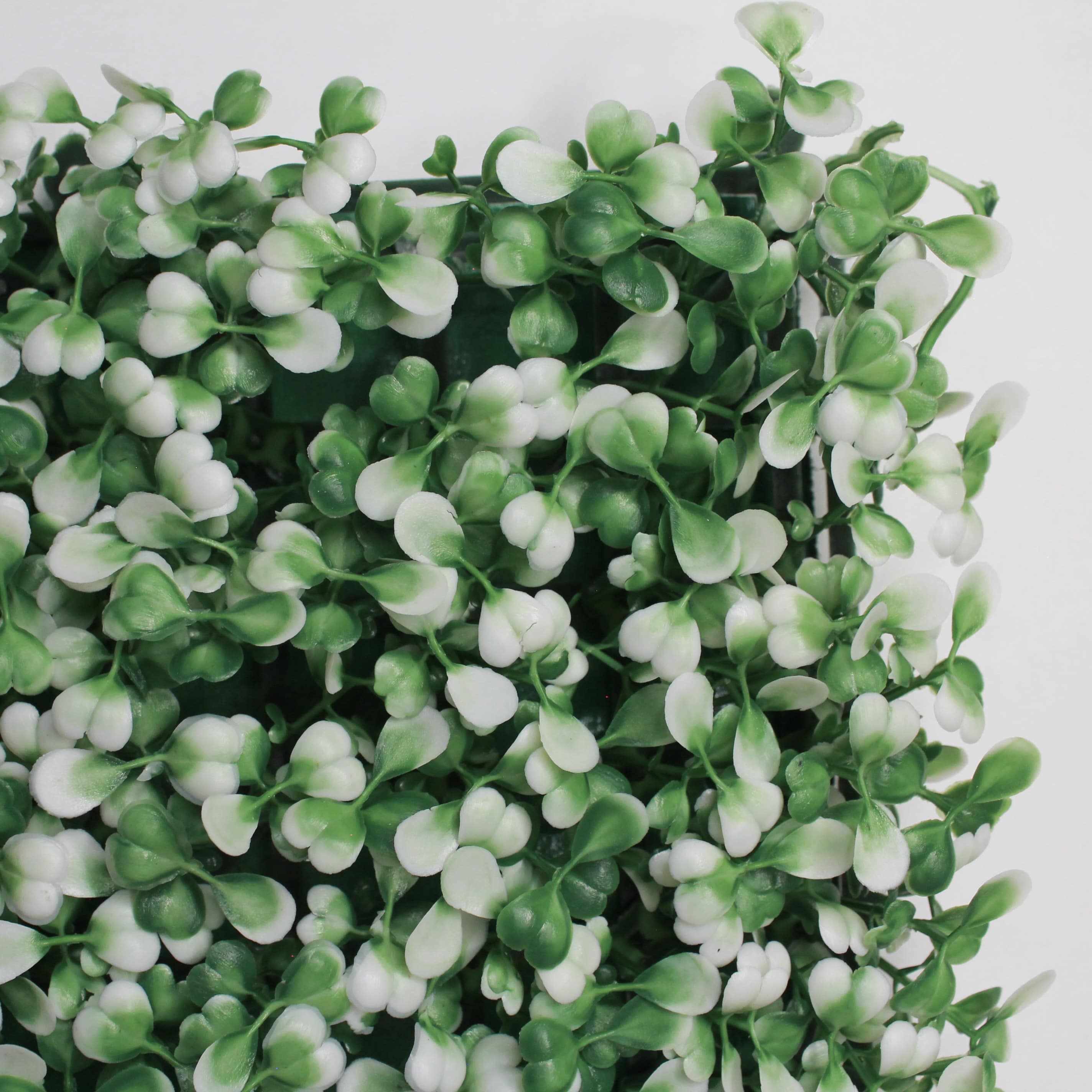 Muro verde Boxwood blanco, Follaje artificial caja con 3 m², Decoración exterior e interior. Jardín vertical-Pared decorativa-Malla decorativa para pared-Decoración hogar.