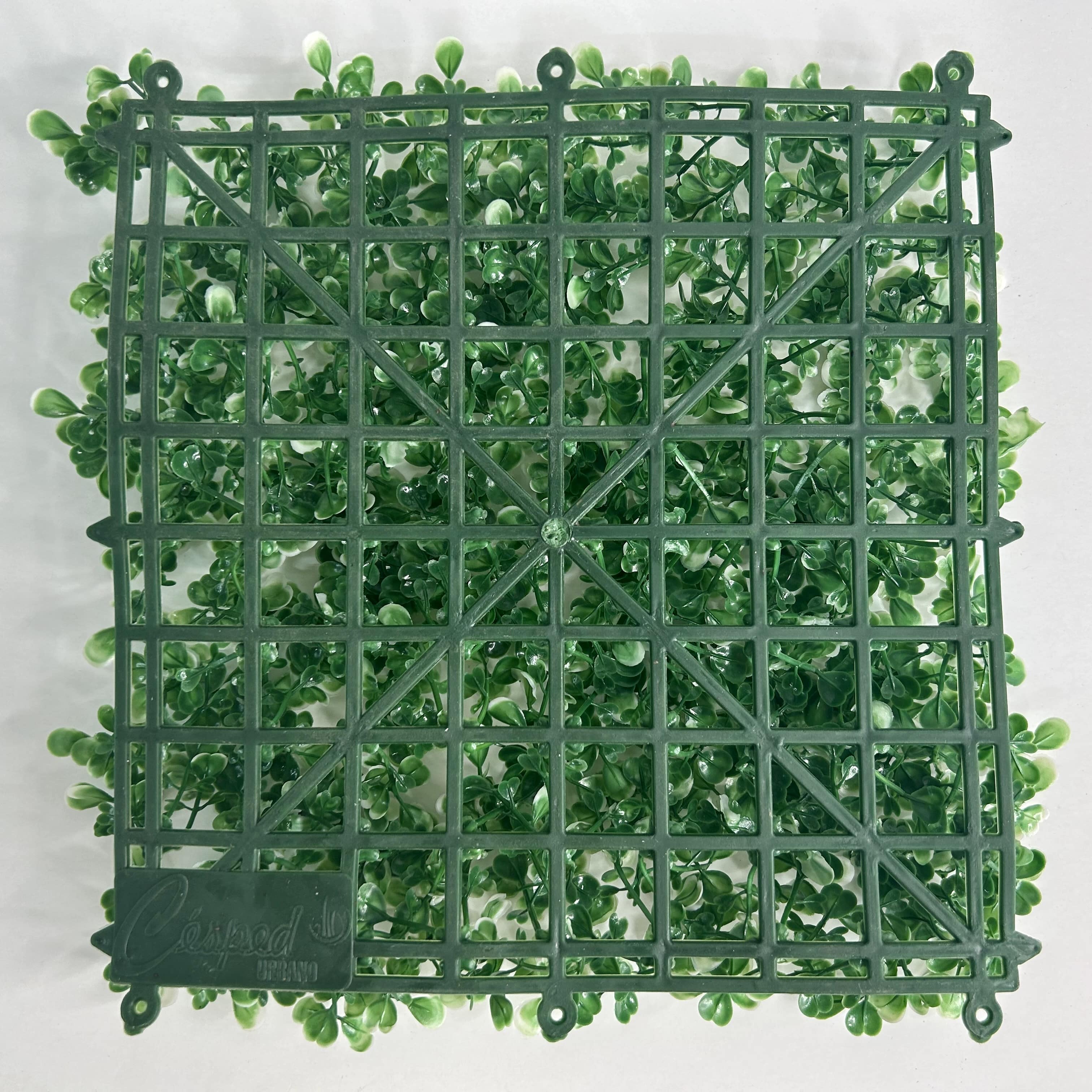 Muro verde Boxwood blanco, Follaje artificial caja con 3 m², Decoración exterior e interior. Jardín vertical-Pared decorativa-Malla decorativa para pared-Decoración hogar.