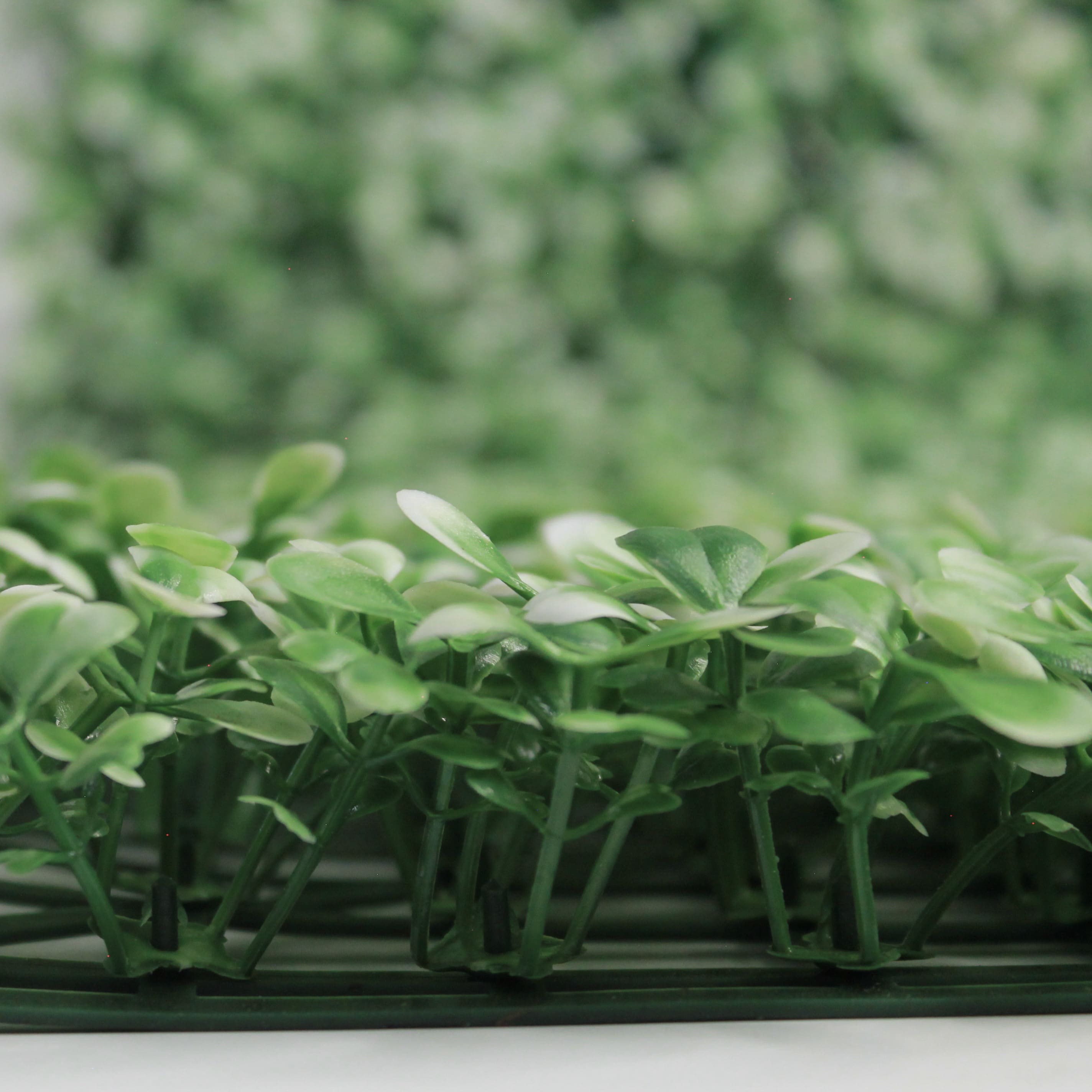 Muro verde Boxwood blanco, Follaje artificial caja con 3 m², Decoración exterior e interior. Jardín vertical-Pared decorativa-Malla decorativa para pared-Decoración hogar.