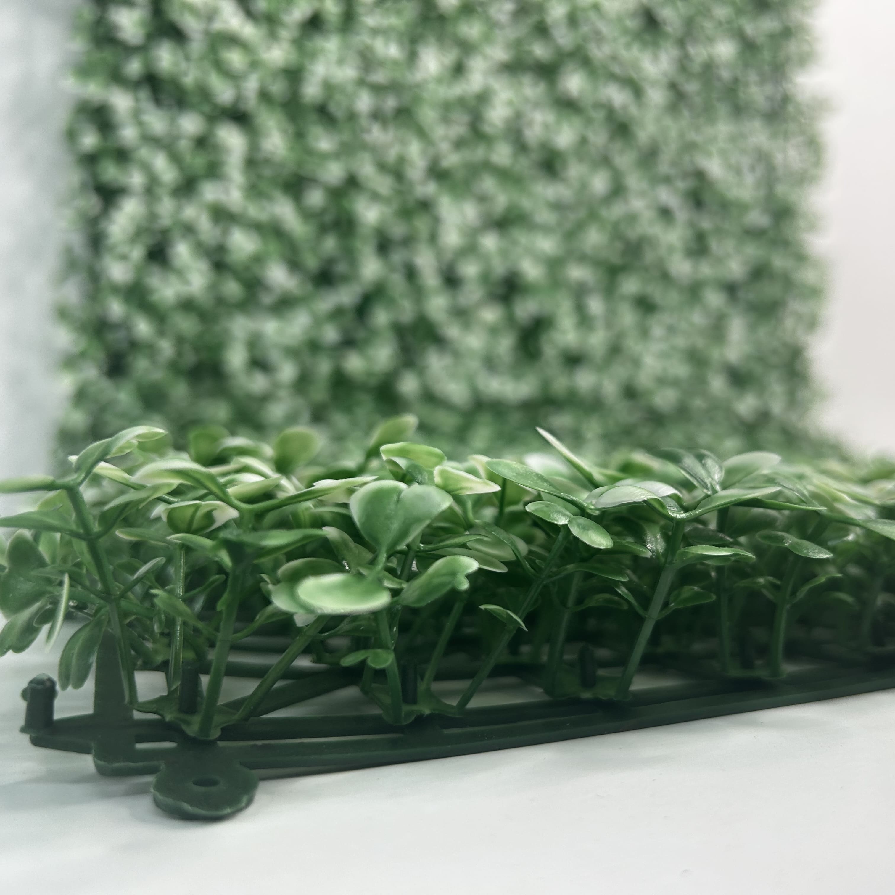 Muro verde Boxwood blanco, Follaje artificial caja con 3 m², Decoración exterior e interior. Jardín vertical-Pared decorativa-Malla decorativa para pared-Decoración hogar.