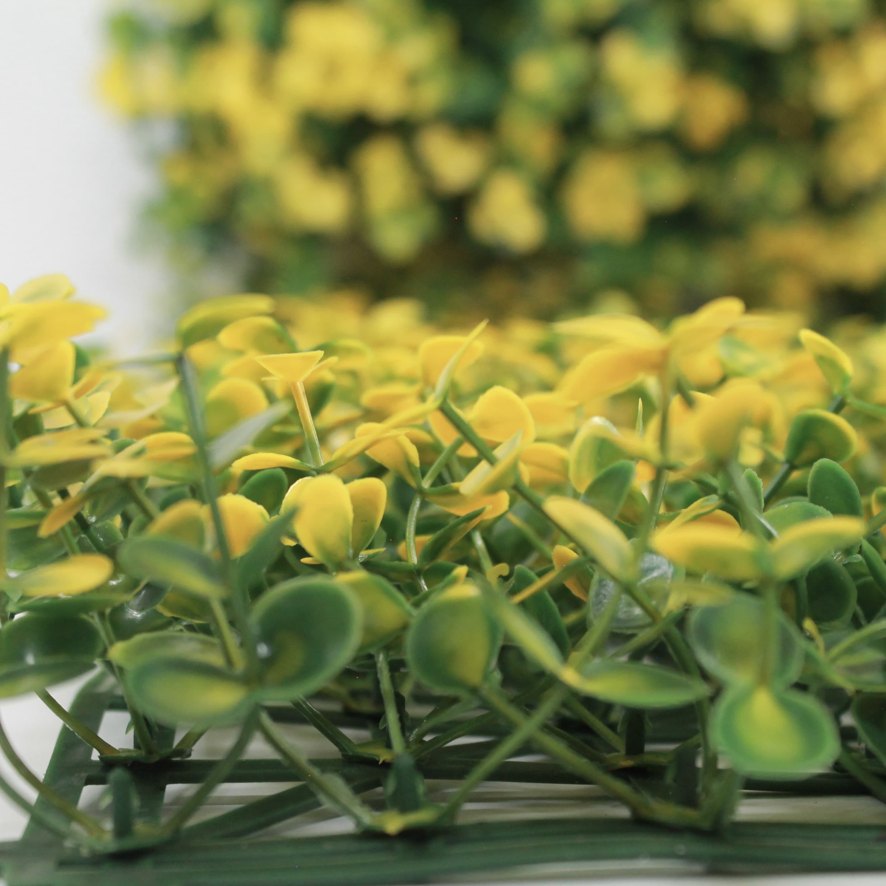 Muro verde Arrayan amarillo, Follaje artificial caja con 3 m², Decoración exterior e interior. Jardín vertical-Pared decorativa-Malla decorativa para pared-Decoración hogar.