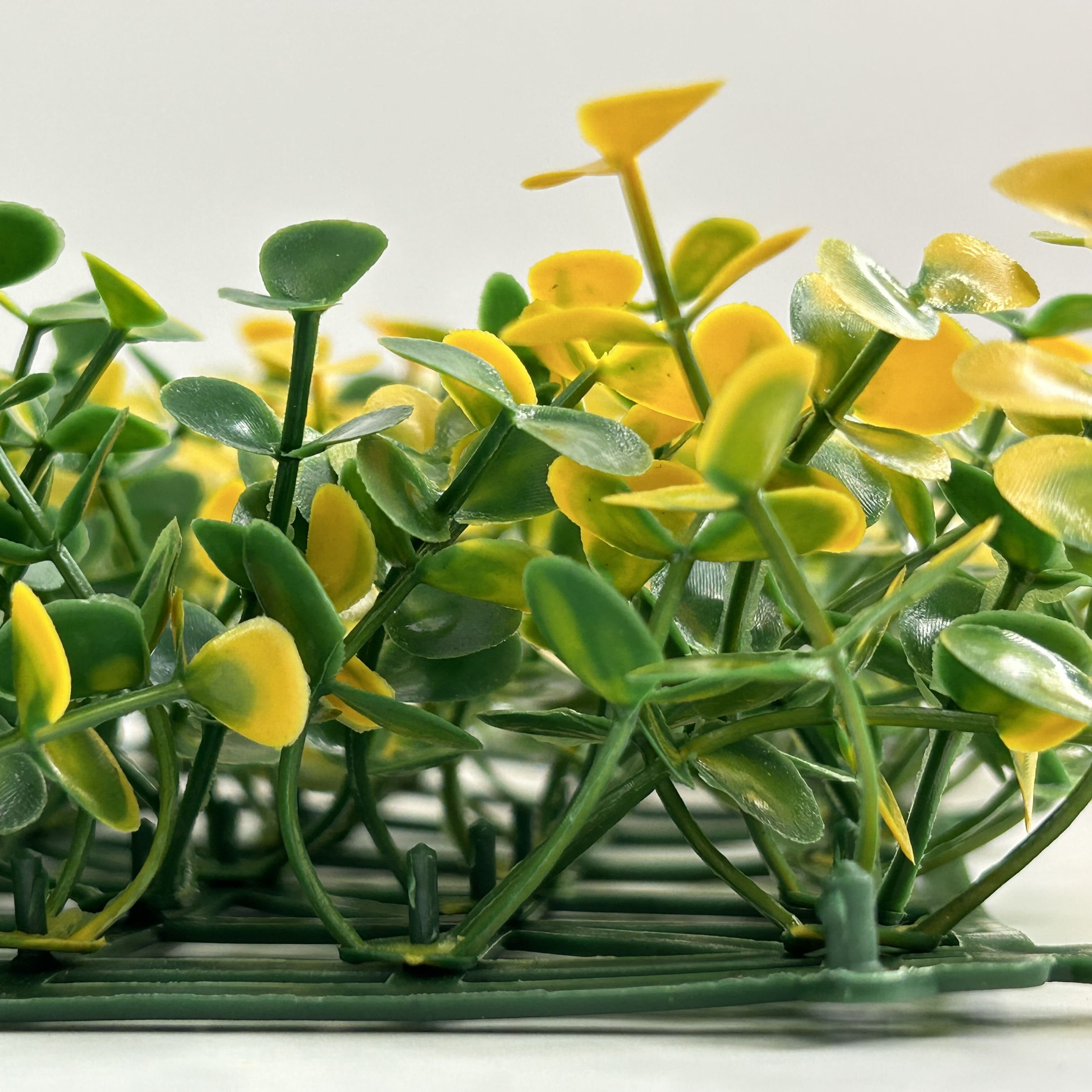 Muro verde Arrayan amarillo, Follaje artificial caja con 3 m², Decoración exterior e interior. Jardín vertical-Pared decorativa-Malla decorativa para pared-Decoración hogar.