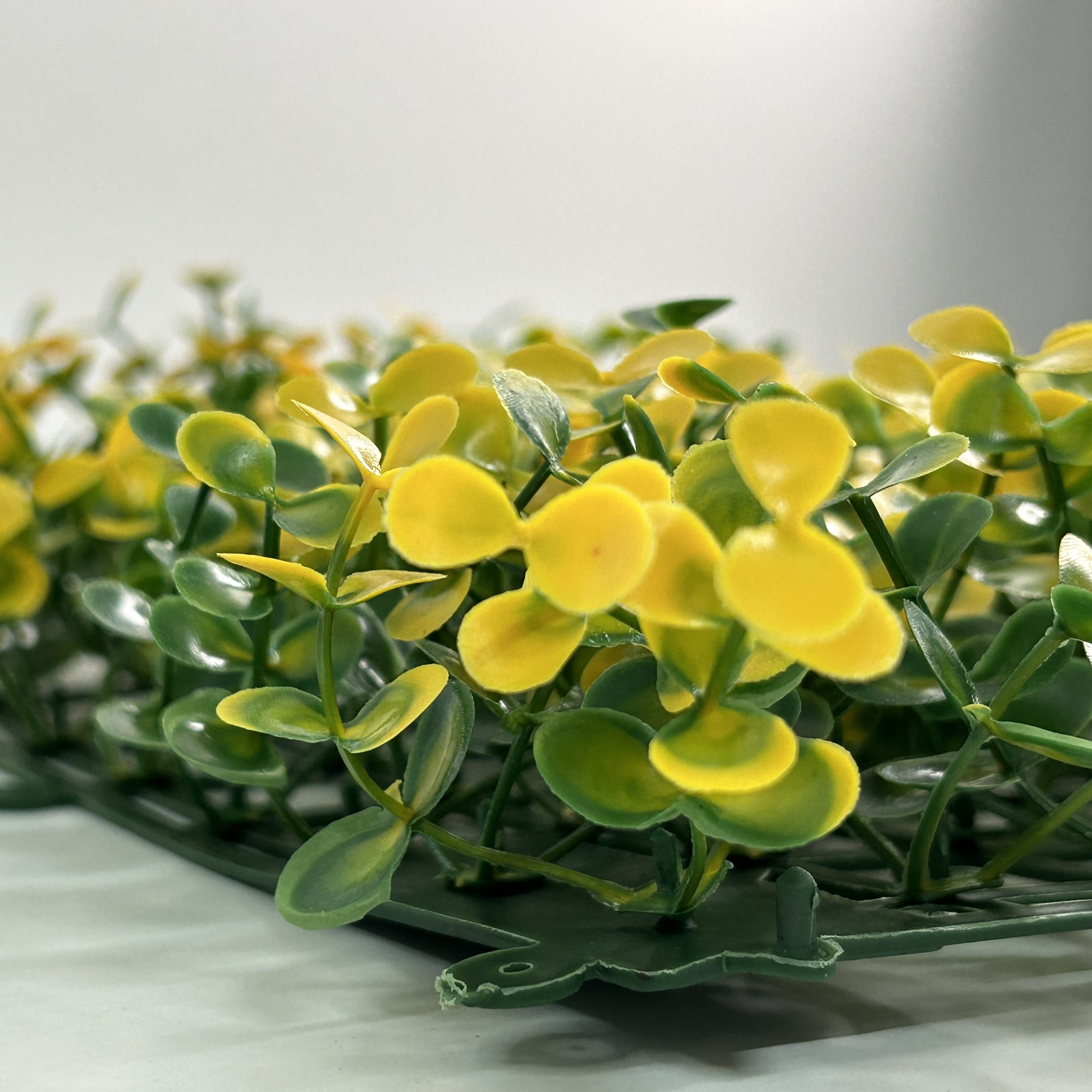 Muro verde Arrayan amarillo, Follaje artificial caja con 3 m², Decoración exterior e interior. Jardín vertical-Pared decorativa-Malla decorativa para pared-Decoración hogar.