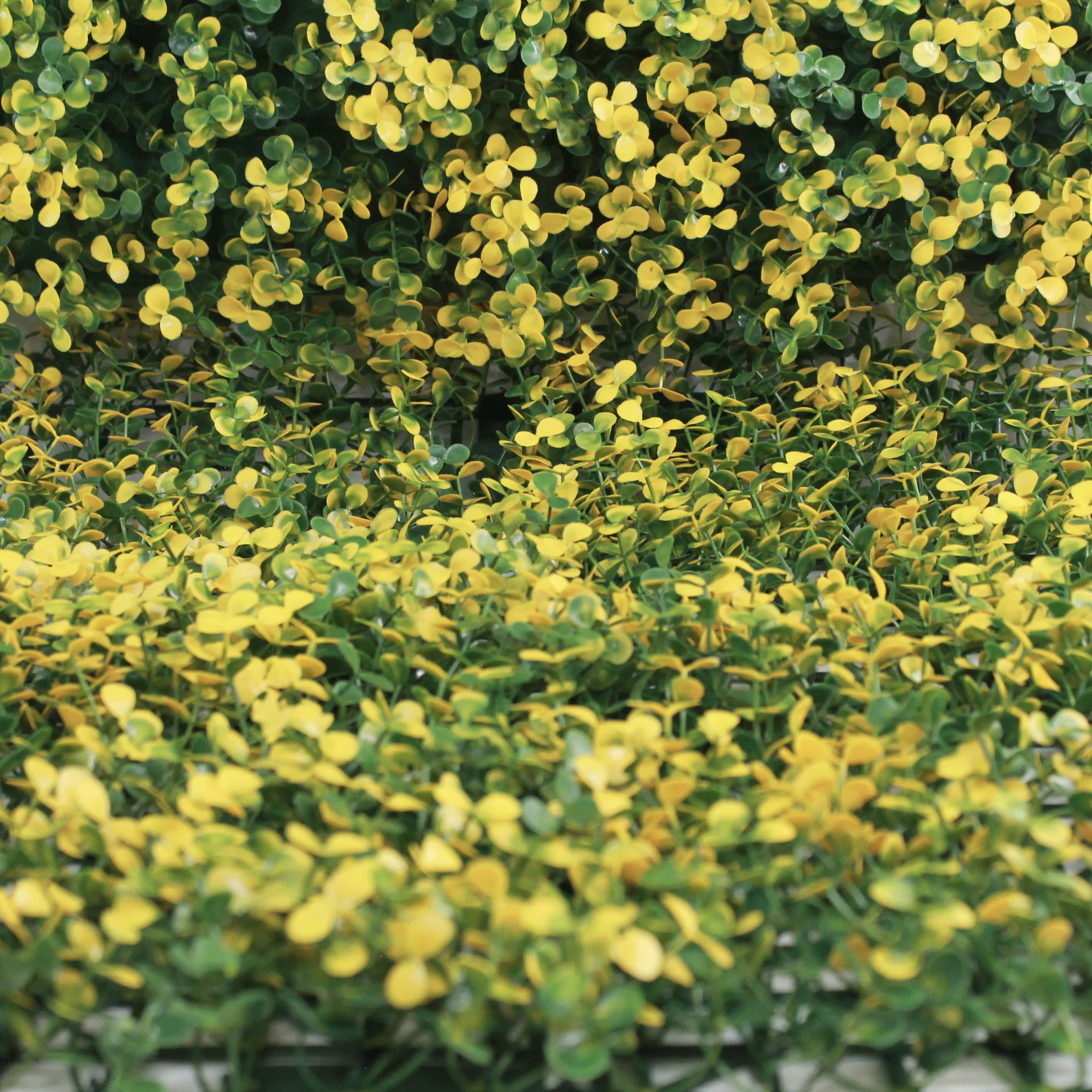 Muro verde Arrayan amarillo, Follaje artificial caja con 3 m², Decoración exterior e interior. Jardín vertical-Pared decorativa-Malla decorativa para pared-Decoración hogar.