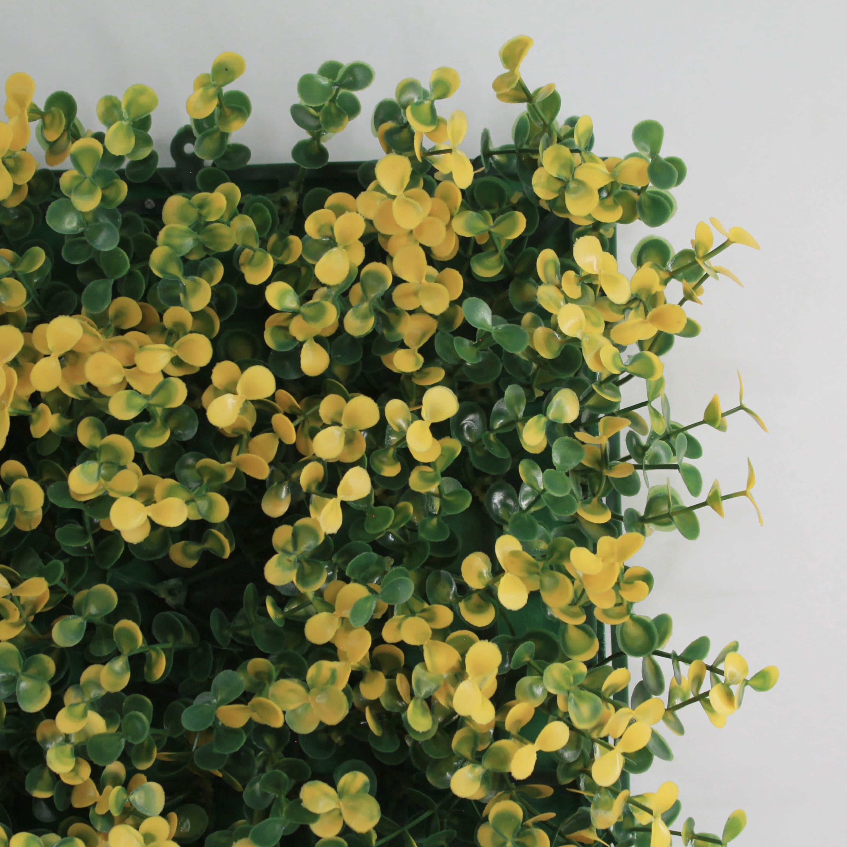 Muro verde Arrayan amarillo, Follaje artificial caja con 3 m², Decoración exterior e interior. Jardín vertical-Pared decorativa-Malla decorativa para pared-Decoración hogar.