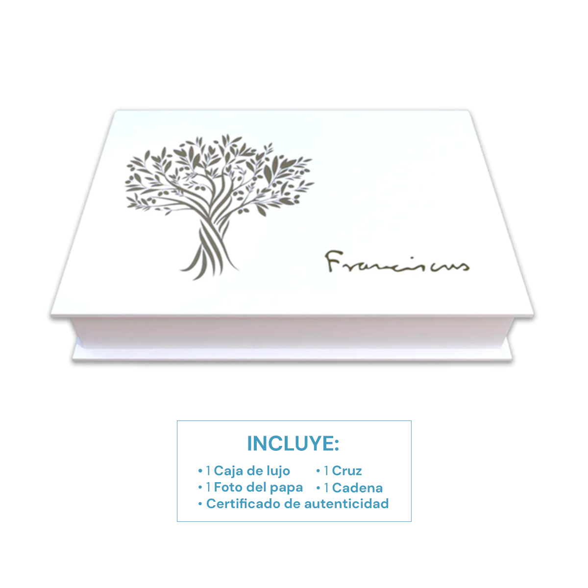 Cruz del Buen Pastor Papa Francisco Bañada en Platino con Cadena CRUZ GRANDE
