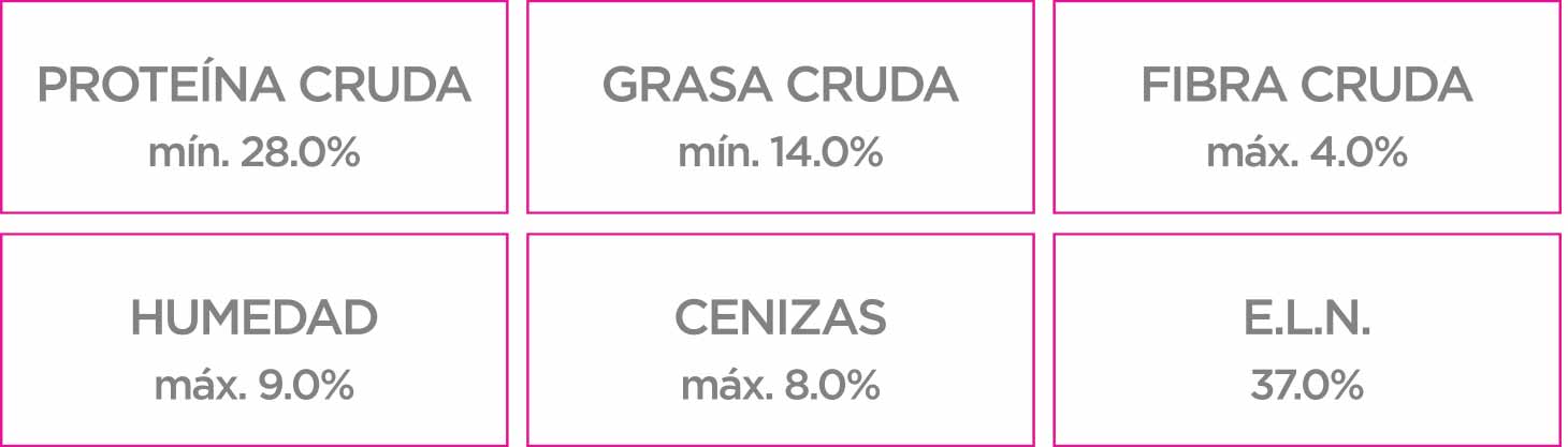 Nupec Cachorro Razas Pequeñas croqueta para perro, alimento con la densidad nutricional y energética que les ayuda a potencializar el crecimiento que definirá su calidad de vida adulta. Bolsa de 8 kg