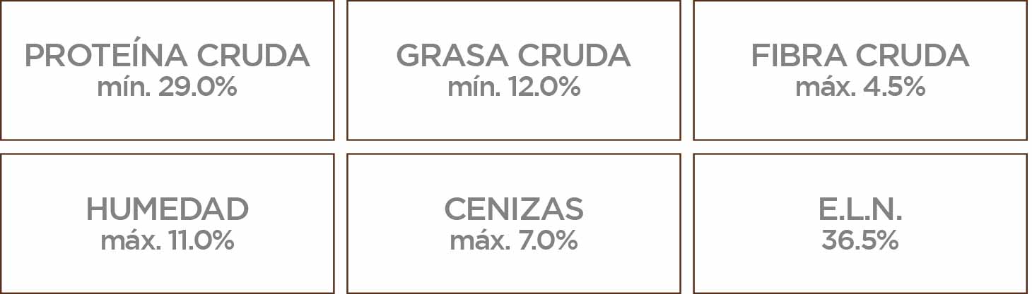 Nupec Senior croqueta para perro, alimento con los nutrientes esenciales para retrasar el envejecimiento del organismo, fortaleciendo el sistema inmune y las articulaciones, manteniéndolo activo y sano por más tiempo. Bolsa de 8 kg