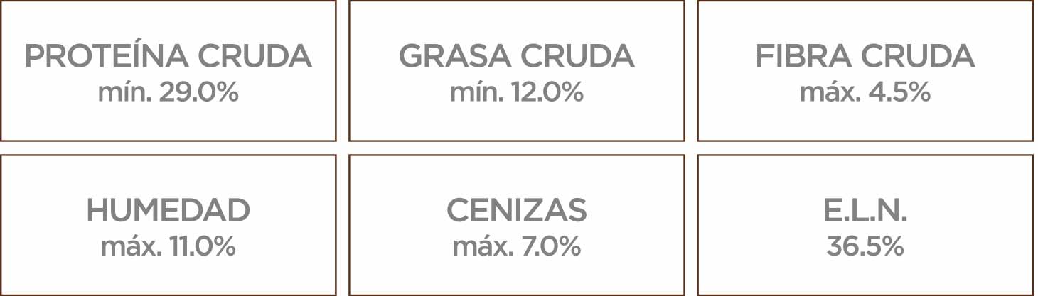 Nupec Senior Razas Pequeñas croqueta para perro, alimento con los nutrientes esenciales para retrasar el envejecimiento del organismo, fortaleciendo el sistema inmune y las articulaciones, manteniéndolo activo y sano por más tiempo. Bolsa de 8 kg