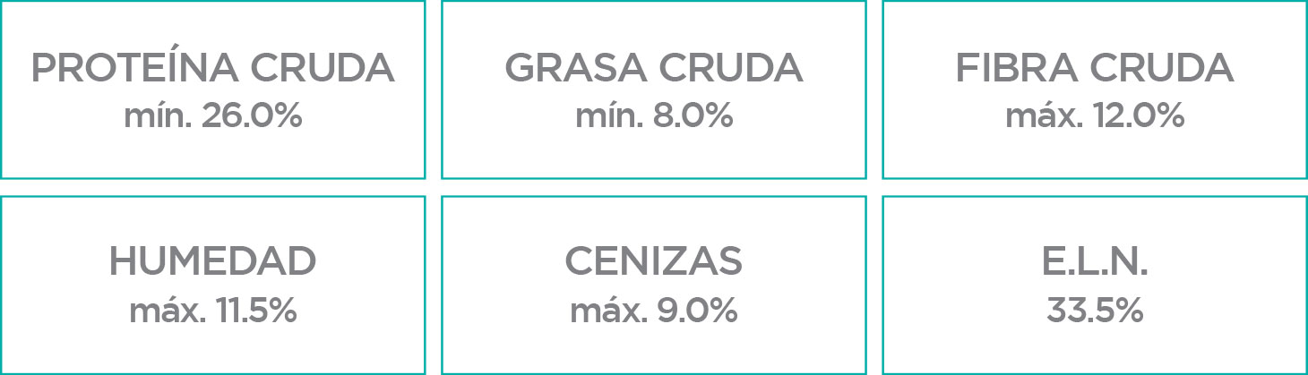 Nupec Weight Control croqueta para perro, alimento con una nutrición especializada que ayuda a reducir el peso, manteniendo una masa muscular óptima, sin afectar el apetito de tu canino. Bolsa de 15 kg