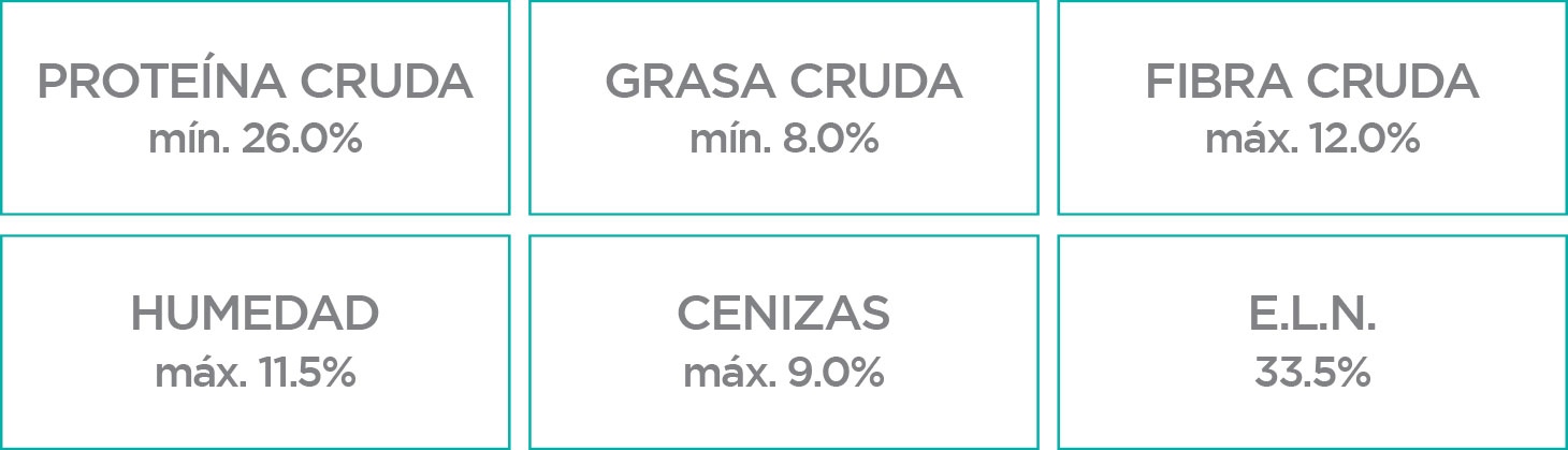 Nupec Weight Control raza pequeña croqueta para perro, alimento con una nutrición especializada que ayuda a reducir el peso, manteniendo una masa muscular óptima, sin afectar el apetito de tu canino. Bolsa de 8 kg