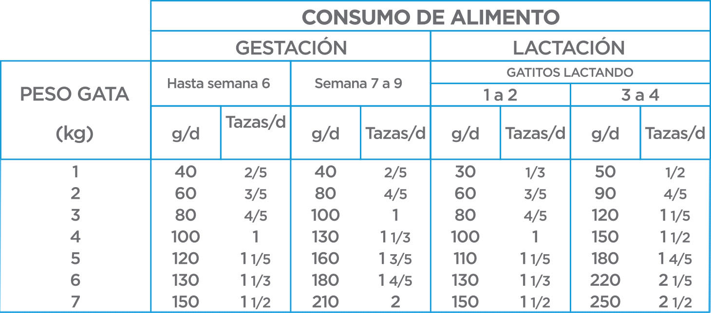 Nupec Felino Kitten croqueta para gatitos de temprana edad, alimento con una nutrición especializada que favorece su óptimo desarrollo cognitivo, inmune, óseo y muscular.  Bolsa de 3 kg