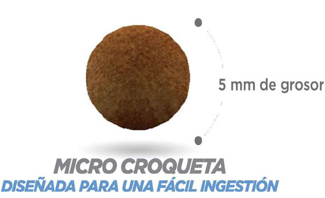 Nupec Felino Kitten croqueta para gatitos de temprana edad, alimento con una nutrición especializada que favorece su óptimo desarrollo cognitivo, inmune, óseo y muscular.  Bolsa de 3 kg
