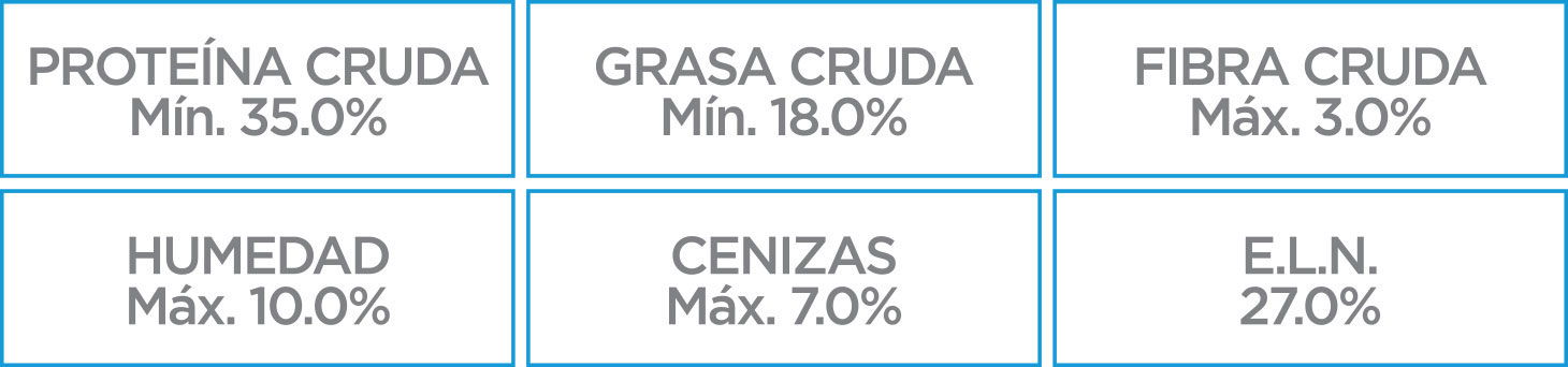 Nupec Felino Kitten croqueta para gatitos de temprana edad, alimento con una nutrición especializada que favorece su óptimo desarrollo cognitivo, inmune, óseo y muscular.  Bolsa de 3 kg