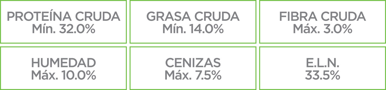 Nupec Felino Adult Indoor croqueta para gato adulto, alimento con una nutrición especializada con un balance de ingredientes que regulan el sistema nervioso y mantienen una condición corporal saludable. Bolsa de 5 kg
