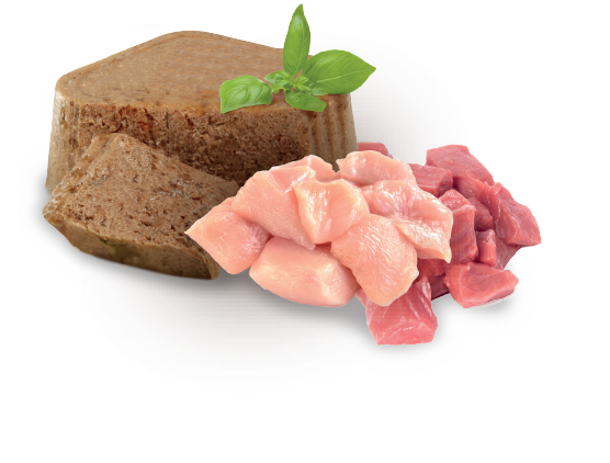 Nupec Senior con carne y pollo, alimento húmedo para perros adultos senior de todas las razas. Para razas pequeñas a partir de 9 años de edad y razas grandes a partir de 7 años de edad. Cluster Senior 4 latas de 100 g cada una.