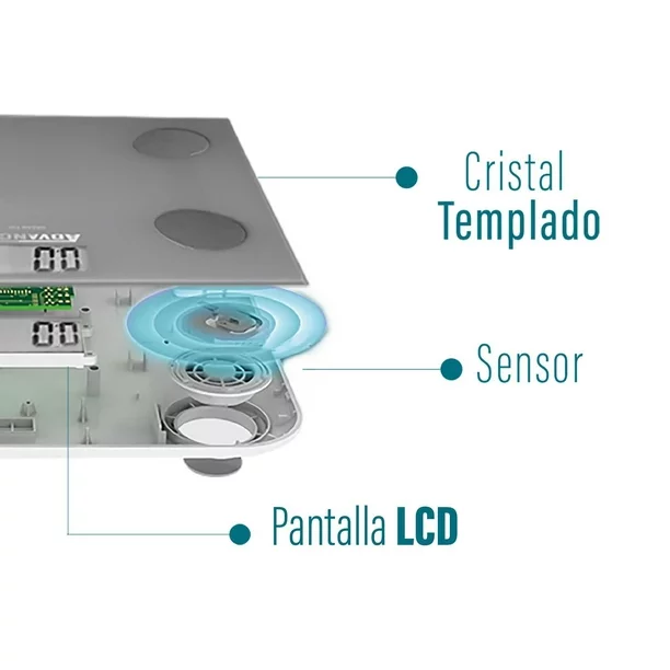 Báscula de Análisis Corporal para el baño BASAN-150 Rhino