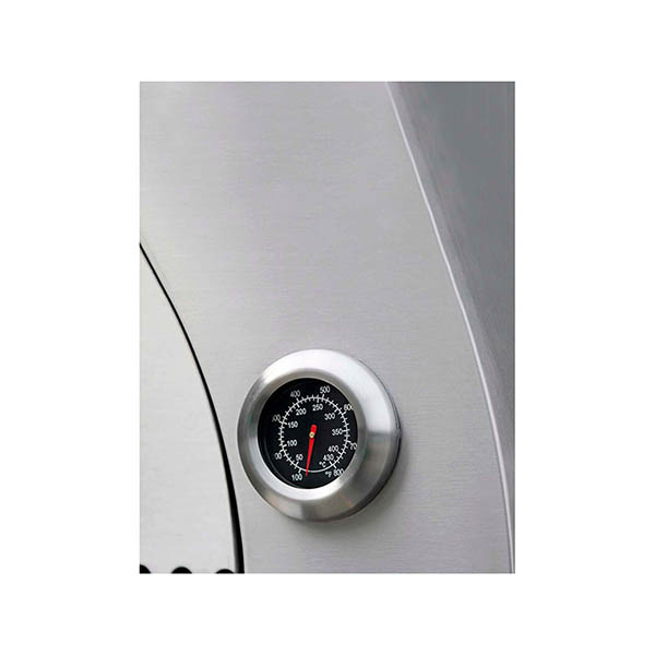 Horno De Pizzas Profesional De Leña Para Exteriores De Acero Inoxidable  Thor Kitchen HPO01SS.