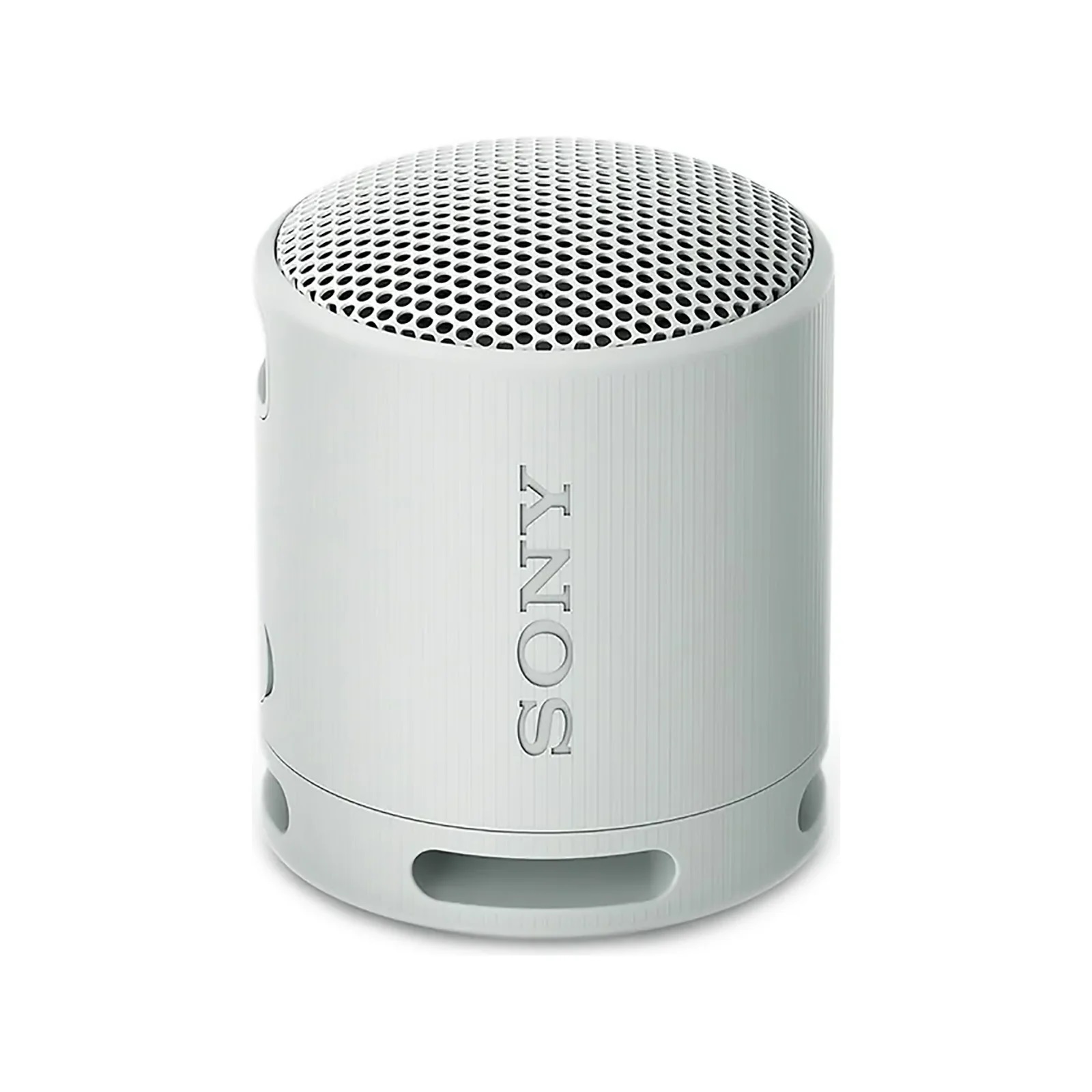 Bocina Bluetooth Portátil Sony SRS-XB100 Gris