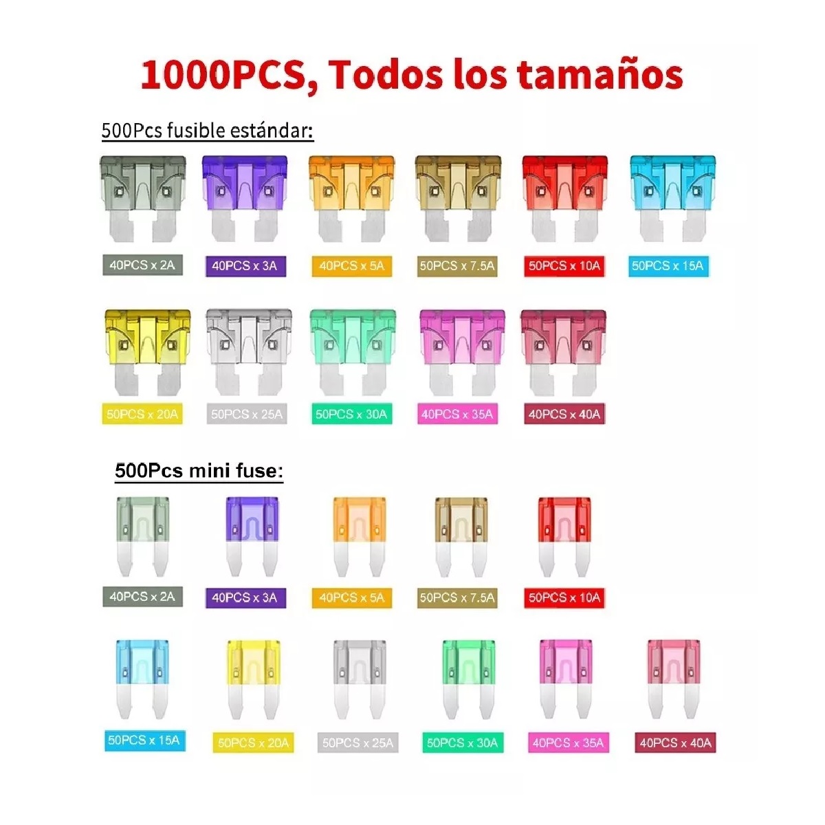 Kit 1000 Piezas Fusibles Coche Automotriz Con Caja