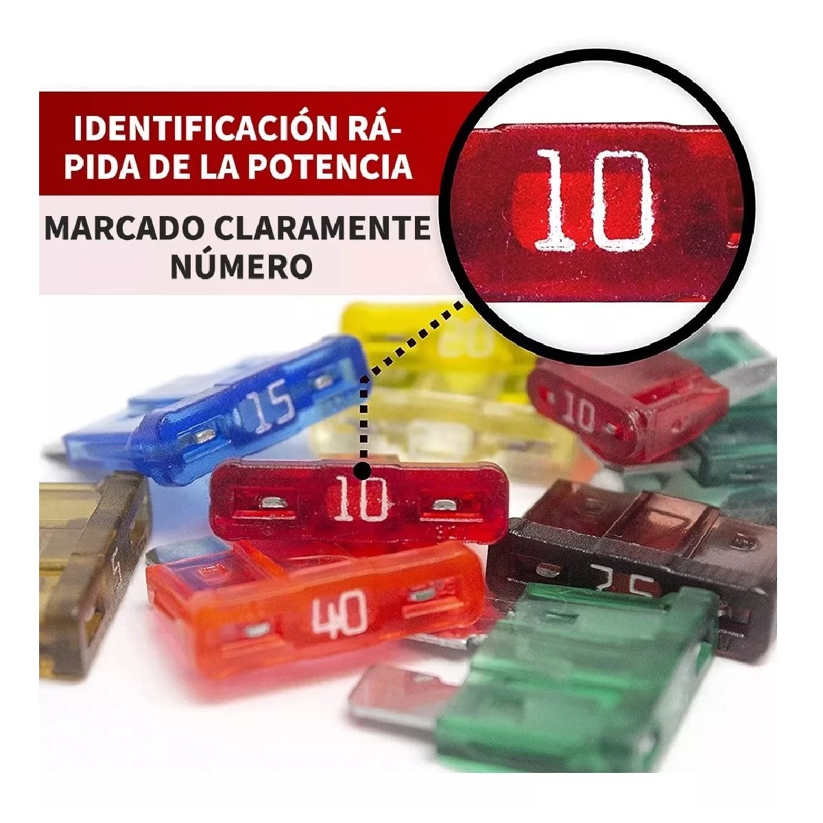 Kit 1000 Piezas Fusibles Coche Automotriz Con Caja