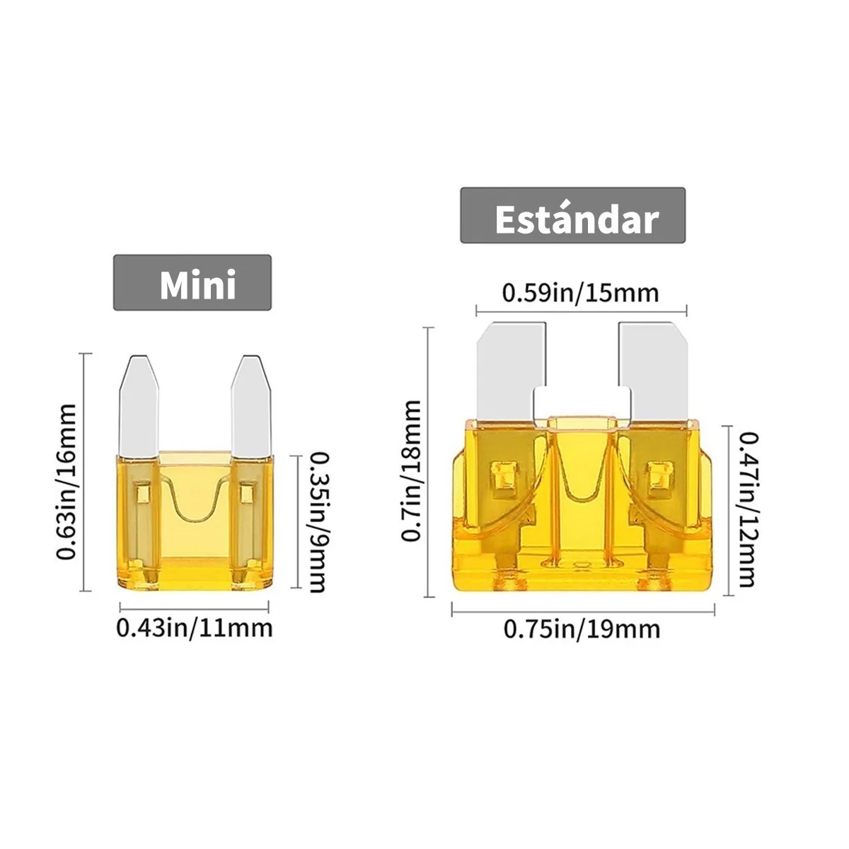 Kit 1000 Piezas Fusibles Coche Automotriz Con Caja