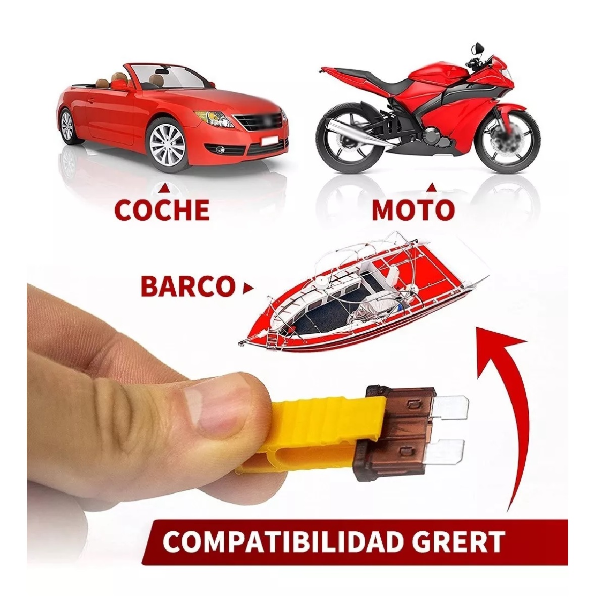 Kit 1000 Piezas Fusibles Coche Automotriz Con Caja