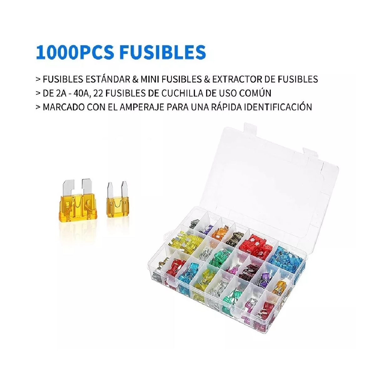 Kit 1000 Piezas Fusibles Coche Automotriz Con Caja