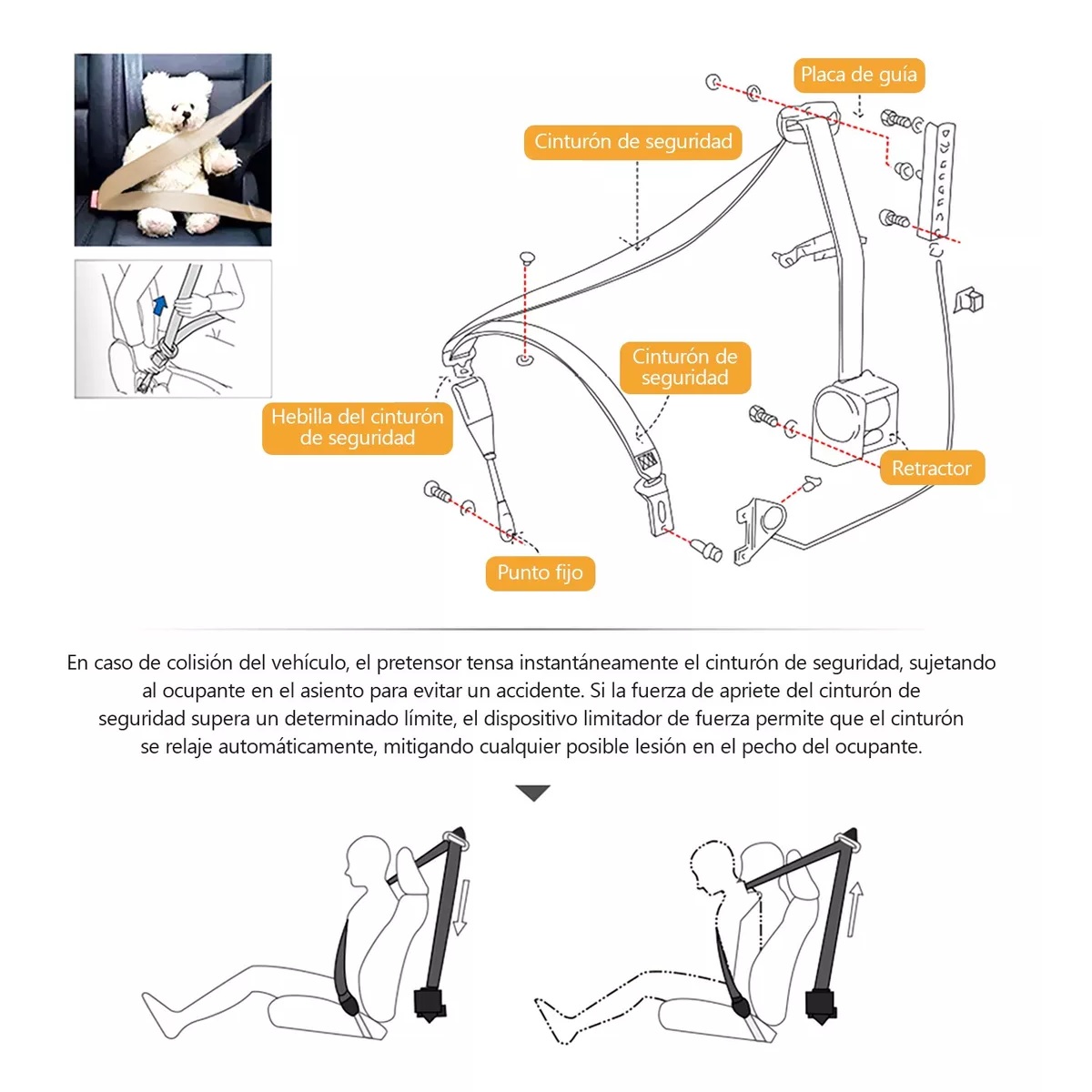 Par Cinturón De Seguridad Retráctil De Tres Puntos Beige