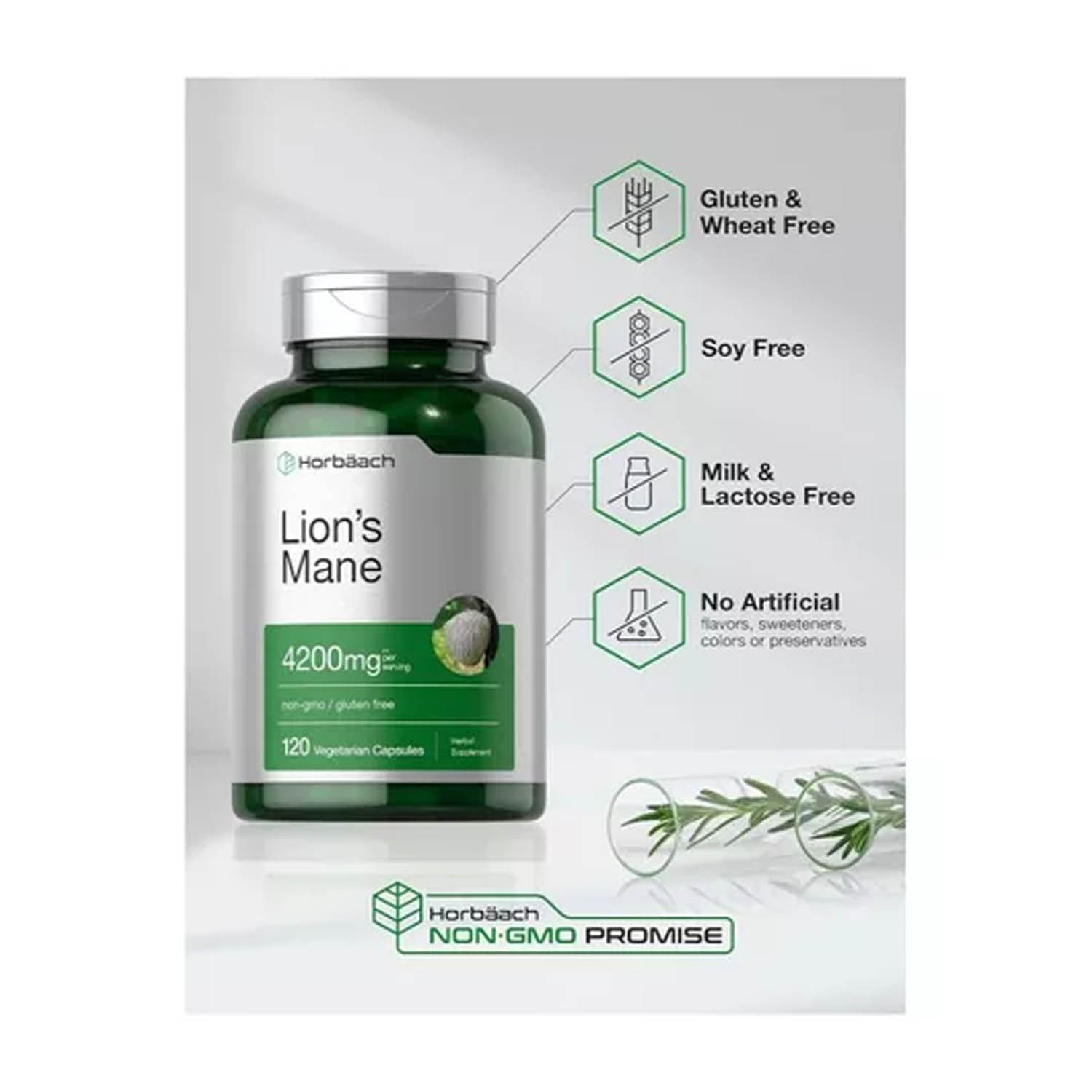 Extrato de Hongo de Melena de Leon 4200mg Horbäach 120 capsulas Lion's Mane Suplemento