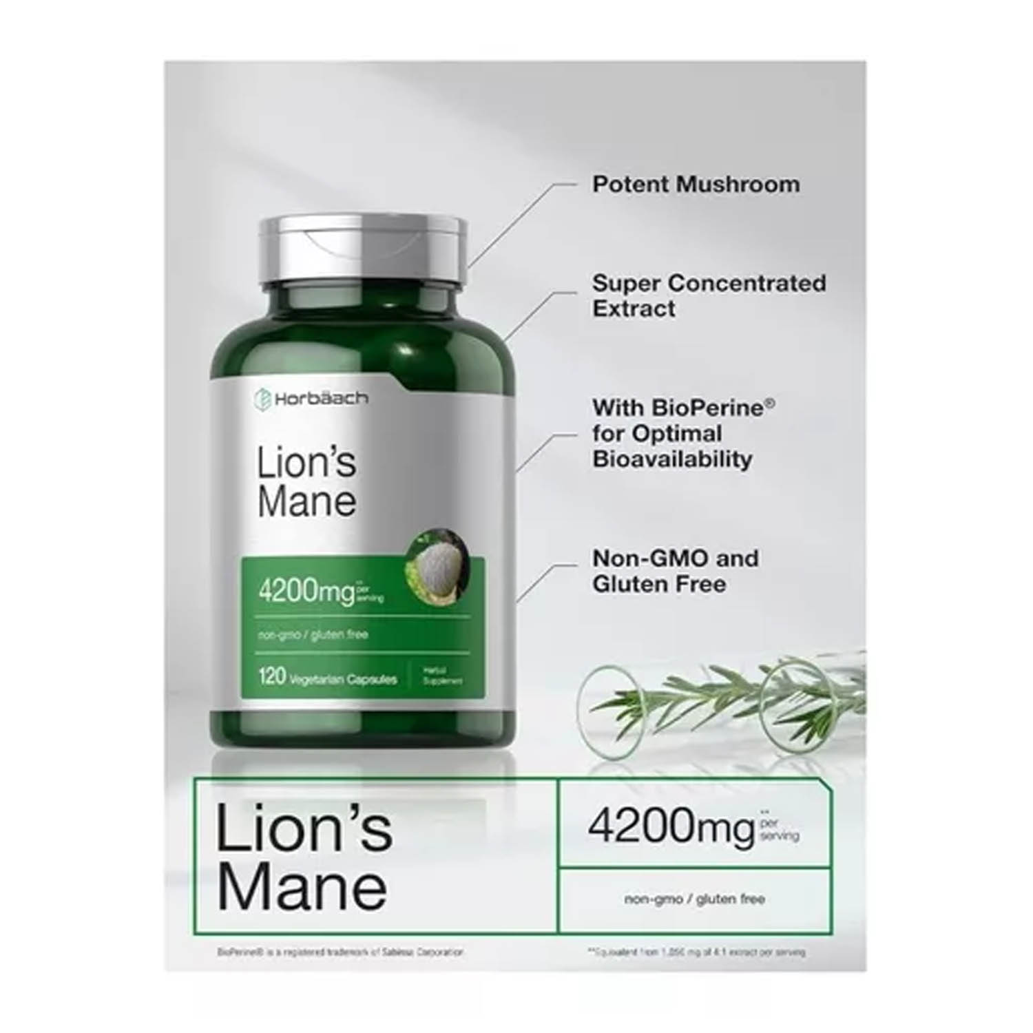 Extrato de Hongo de Melena de Leon 4200mg Horbäach 120 capsulas Lion's Mane Suplemento