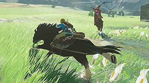 THE LEGEND OF ZELDA BREATH OF THE WILD