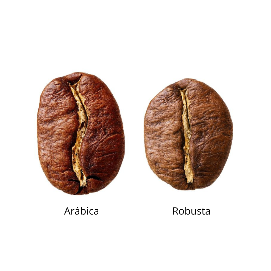 Café Instinto. Charlas Café®. Más Cafeína. Mezcla Arábica y Robusta 500 grs.