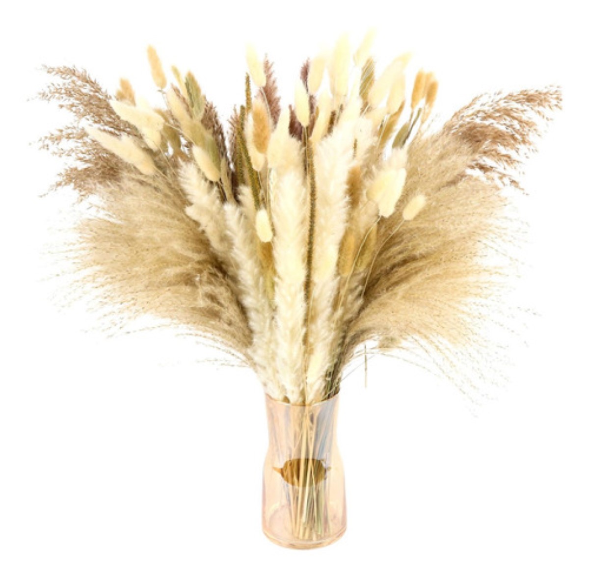 Plantas Decorativas 100pcs Pampas Secas Flores Artificiales 