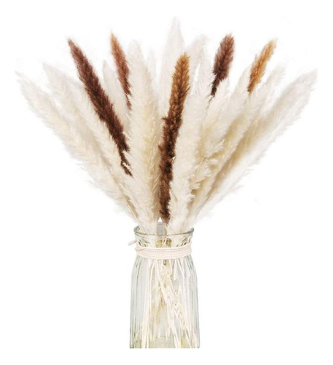 Pampas Secas 30pcs Plantas Decorativas Flores Artificiales 15Blanco+15Rojo 30Pcs