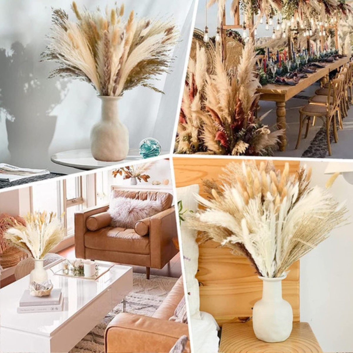 Plantas Decorativas 100pcs Pampas Secas Flores Artificiales 