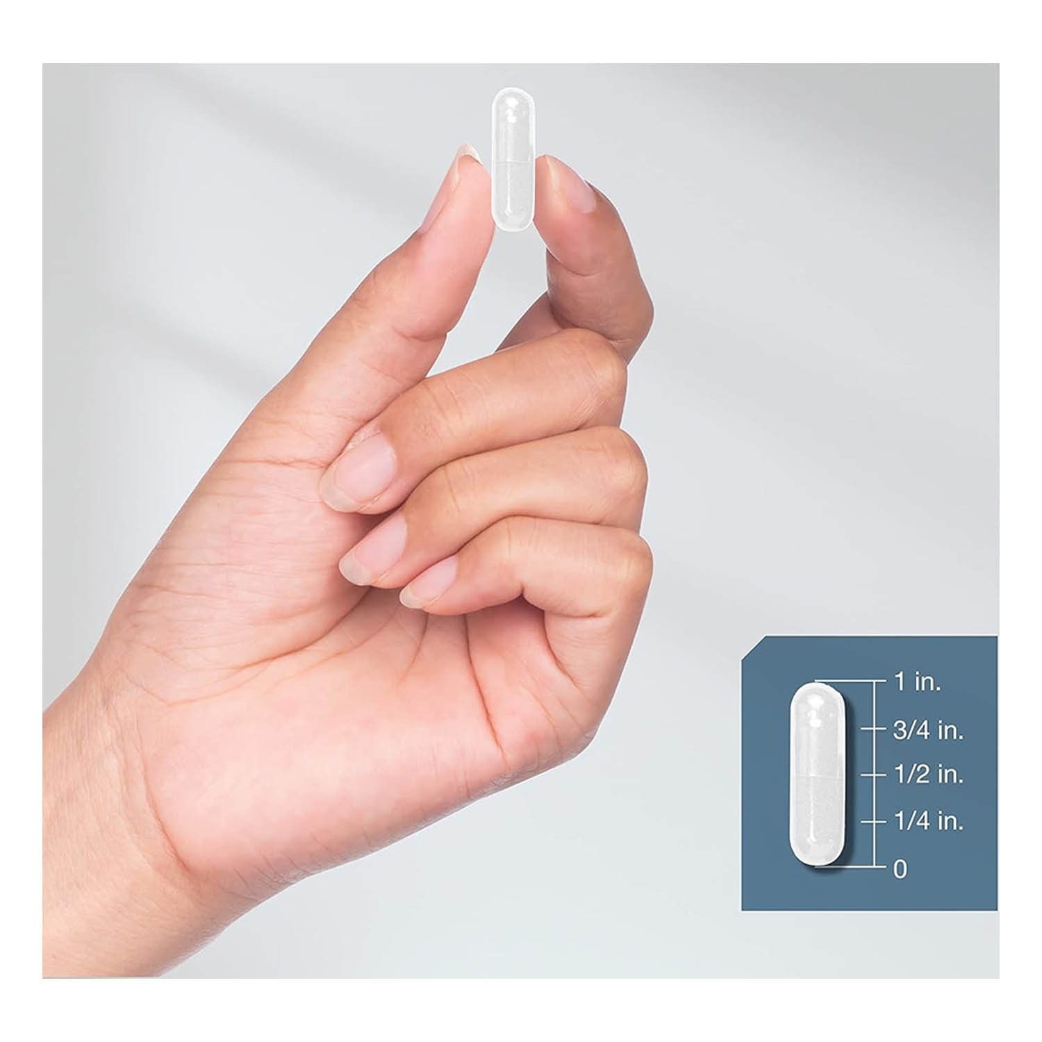 Bromelina 1700mg Horbäach 120 caps Suplemento de Enzimas de Piña Salud Digestiva