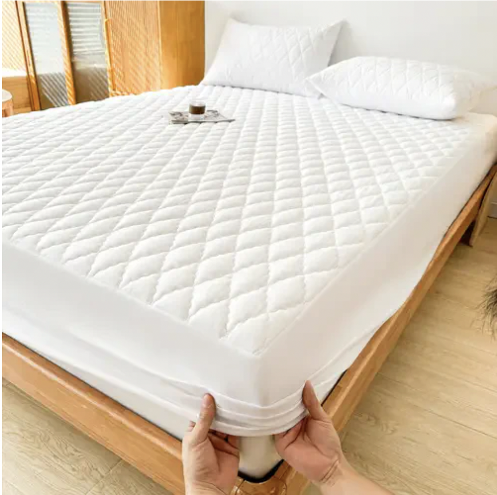 Felpa queen on sale