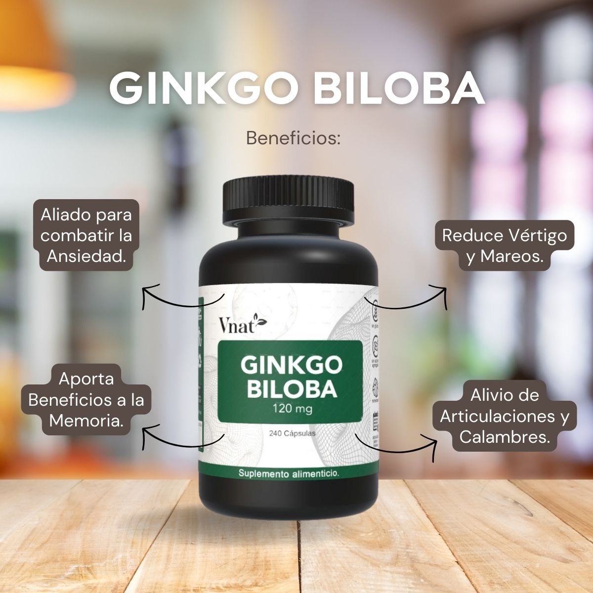Ginkgo Biloba 120mg VNAT 120 caps Ayuda Memoria, Reduce Fatiga