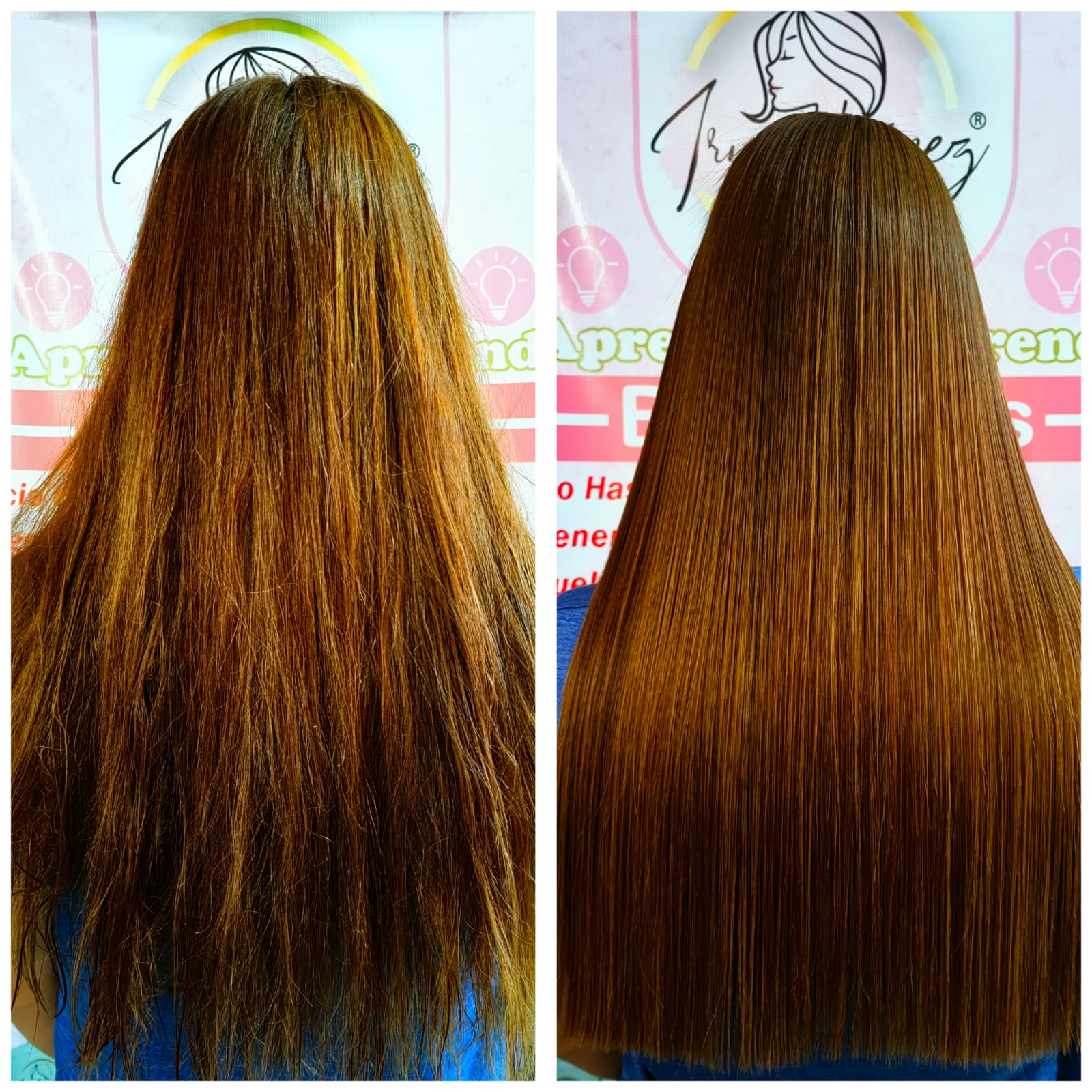 PLANCHA DE CABELLO HL HORACIO LARES  480F DIGITAL.