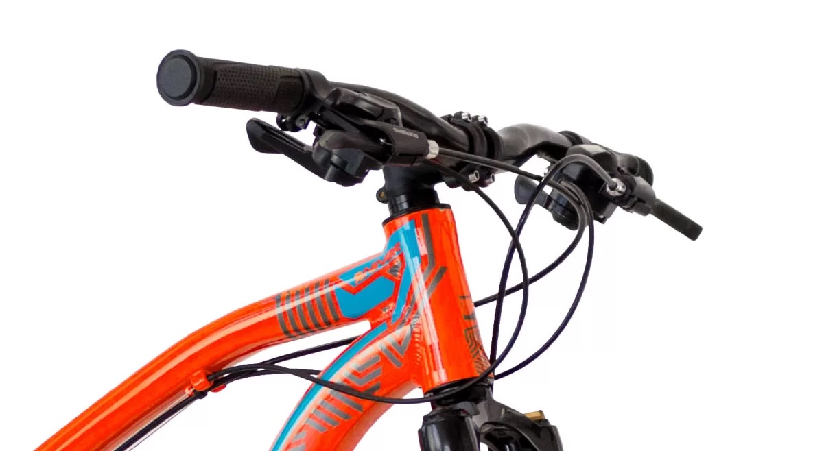 Bicicleta Mercurio DH Expert R29 Naranja.