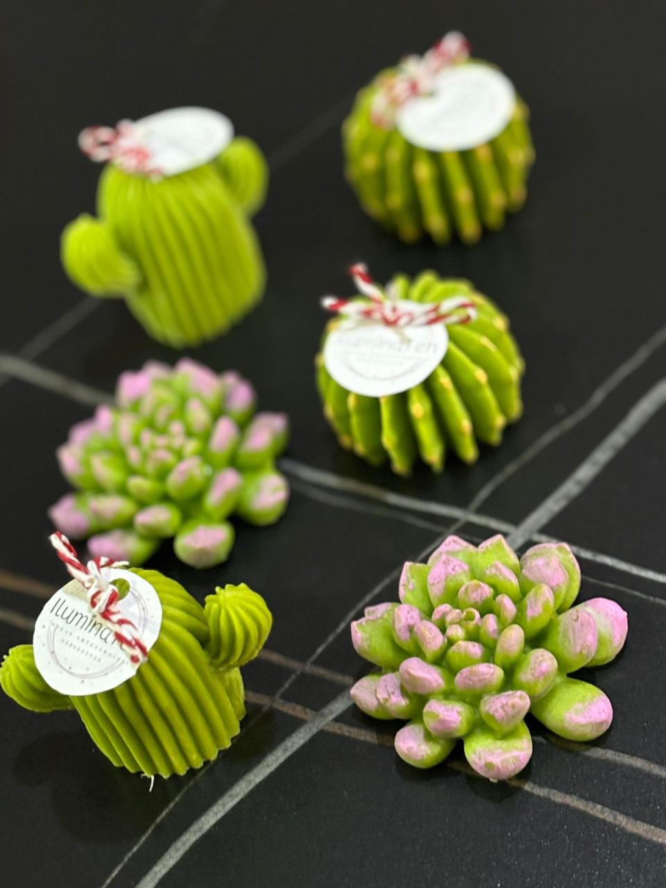 set de 6 velas decorativas aromáticas en forma de cactus y suculentas