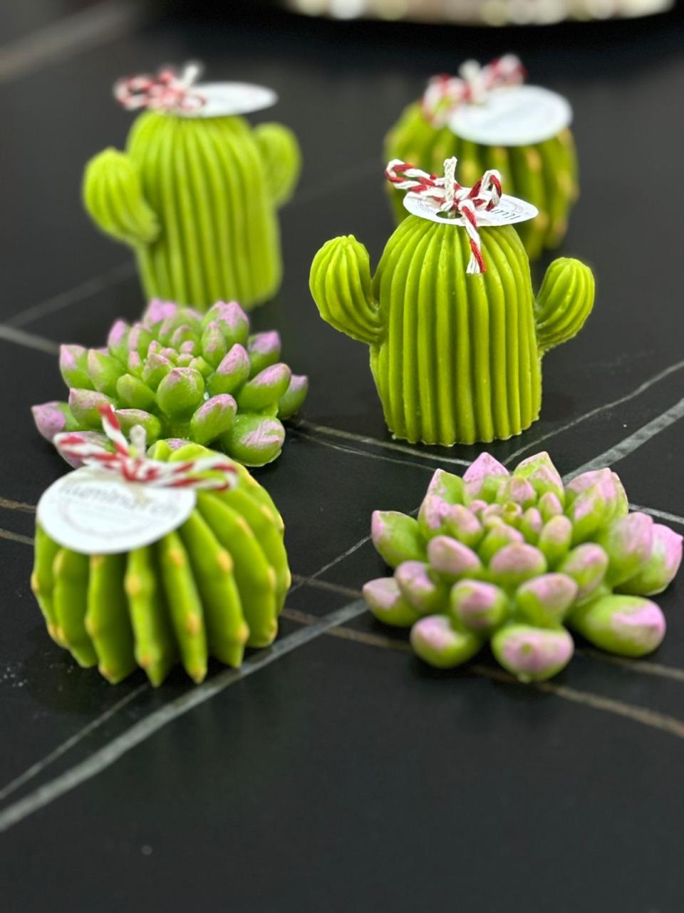 set de 6 velas decorativas aromáticas en forma de cactus y suculentas
