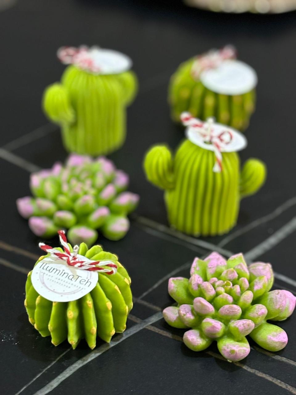 set de 6 velas decorativas aromáticas en forma de cactus y suculentas