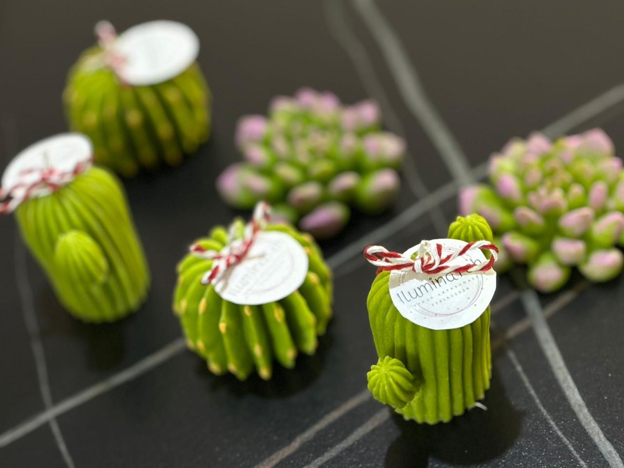 set de 6 velas decorativas aromáticas en forma de cactus y suculentas