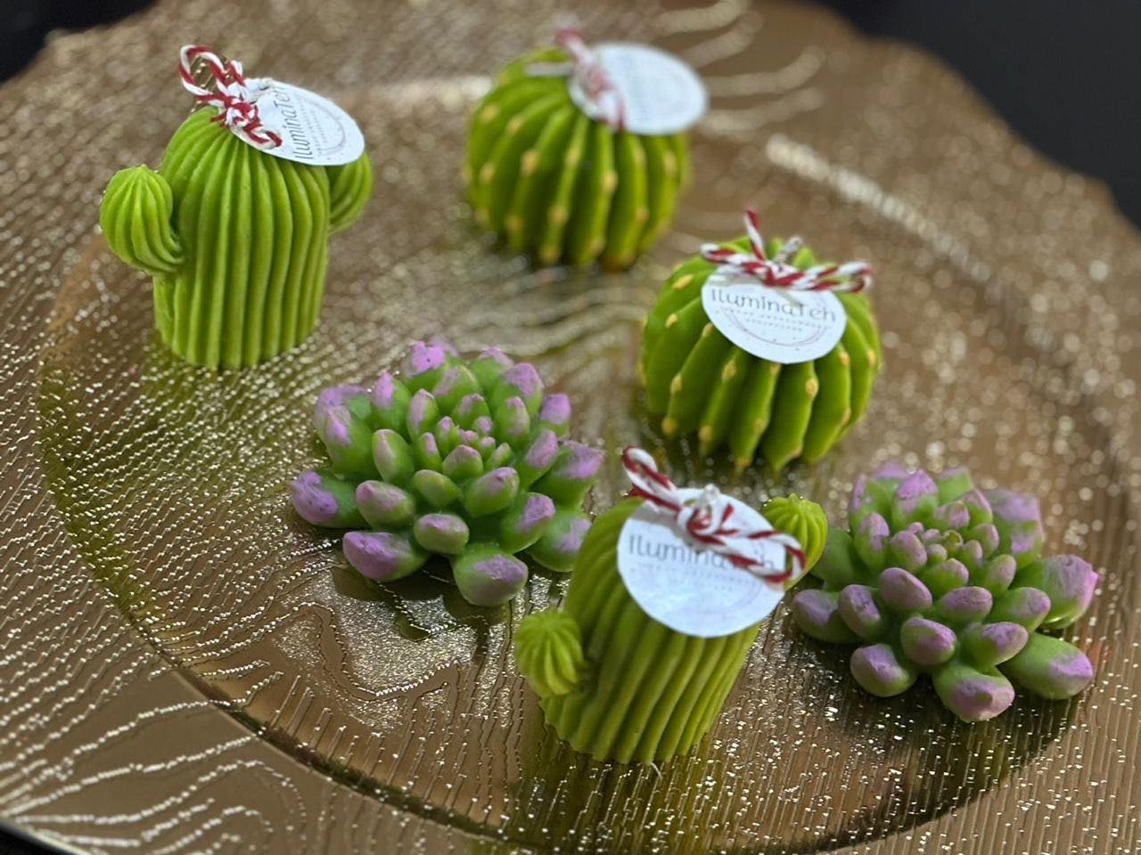 set de 6 velas decorativas aromáticas en forma de cactus y suculentas