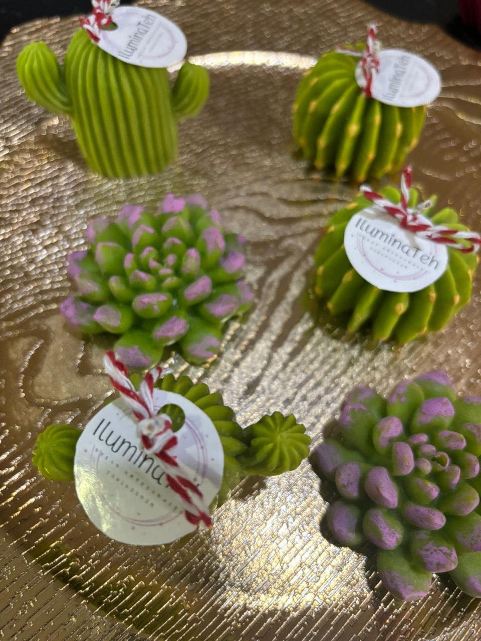 set de 6 velas decorativas aromáticas en forma de cactus y suculentas