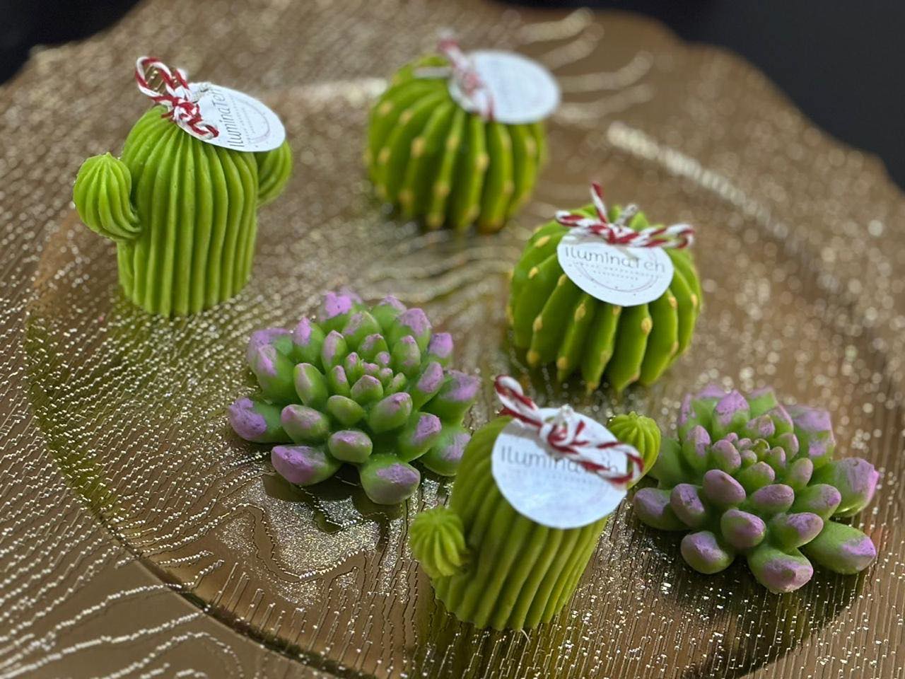 set de 6 velas decorativas aromáticas en forma de cactus y suculentas