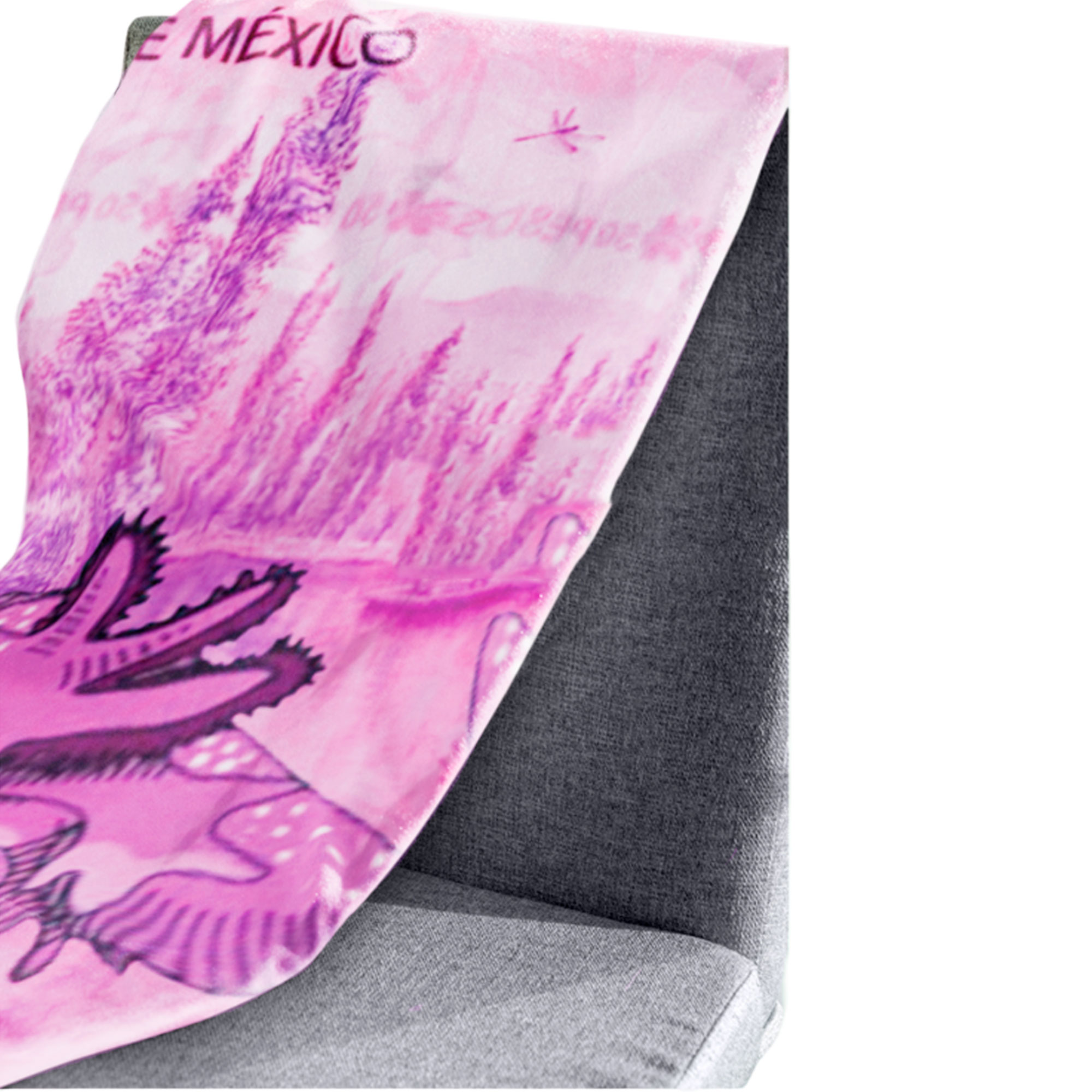 Cobija Manta Frazada De Diseño de Ajolote Billete 50 pesos Ligera Alta Calidad.