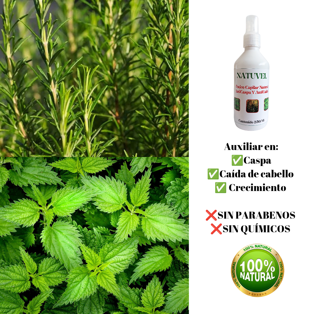 Tónico Capilar Anticaída De cabello Y Anticaspa / Natural 250 ml